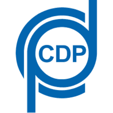 Logo CDP Companhia Docas do Pará
